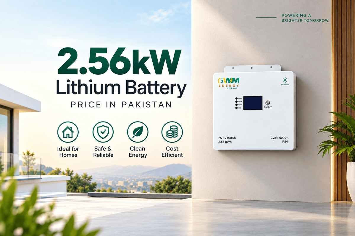2.56kW lithium battery price in Pakistan 2026 – GWM Energy