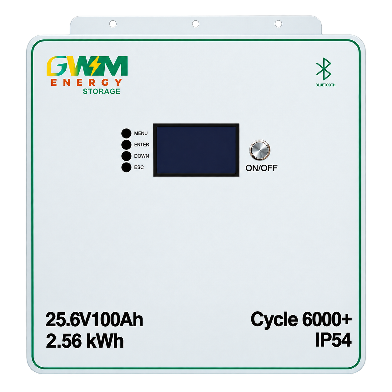 GWM Energy 25.6V 100Ah 2.56kWh LiFePO4 lithium battery with Bluetooth display