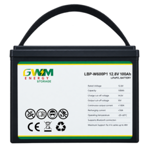 GWM Energy 12V 100Ah LiFePO4 lithium battery for energy storage and solar systems.