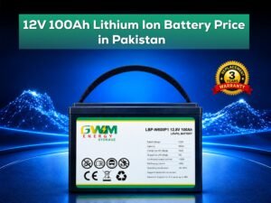 GWM Energy 12V 100Ah Lithium Ion Battery Price in Pakistan